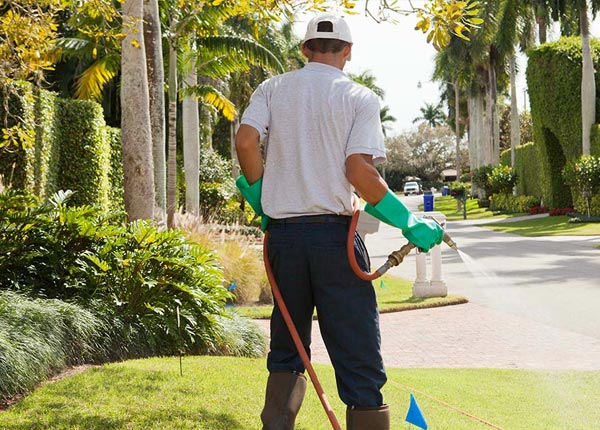 About Mount Carbon WV Pest Control